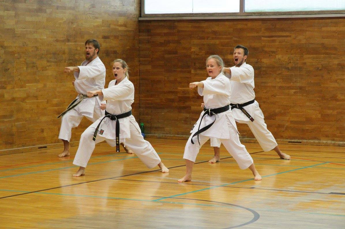 Karate Training Kata
