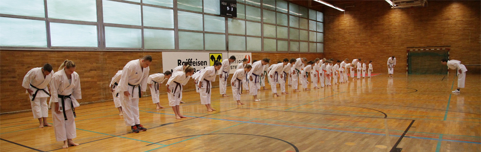 Karate Training Kihon Graz