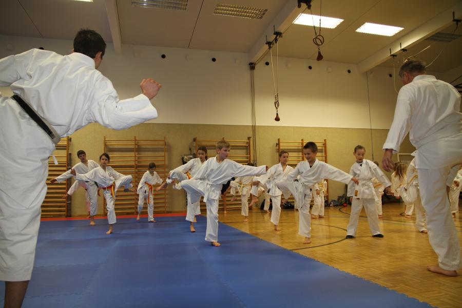 Karate Training