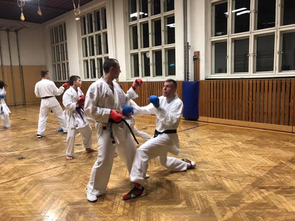 Training Kumite